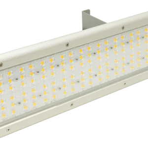 TS29B LED Tunnel Light